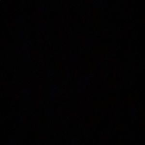 Meet your Posher, Max